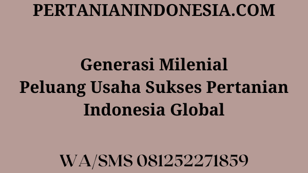 Generasi Milenial Peluang Usaha Sukses Pertanian Indonesia Global